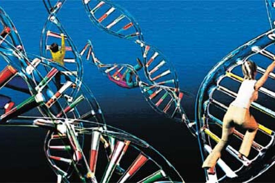 470_gene0.jpg